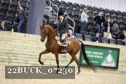 22BUCK_07230 proof