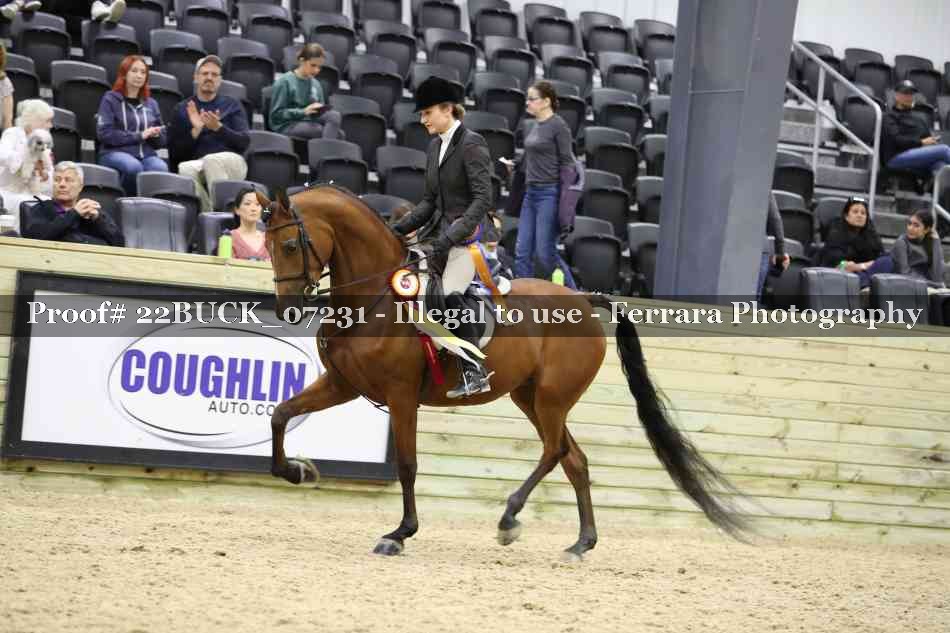 Proof 22BUCK_07231