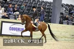 22BUCK_07231 proof