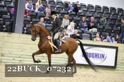 22BUCK_07232 proof