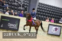 22BUCK_07233 proof