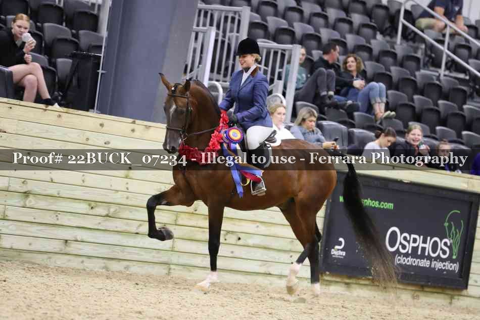 Proof 22BUCK_07234