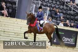 22BUCK_07234 proof
