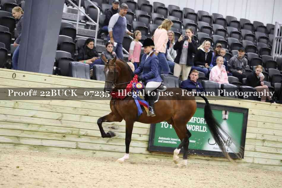 Proof 22BUCK_07235