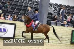 22BUCK_07236 proof