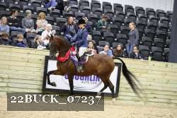 22BUCK_07237 proof
