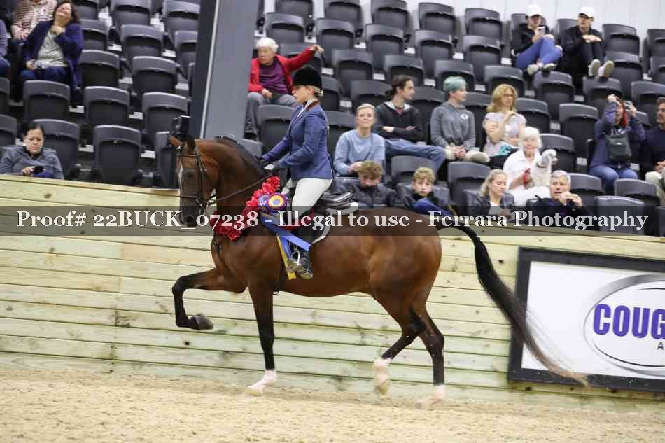 Proof 22BUCK_07238