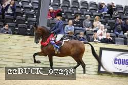 22BUCK_07238 proof
