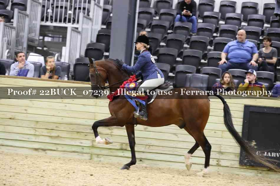 Proof 22BUCK_07239