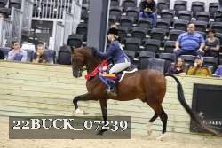 22BUCK_07239 proof