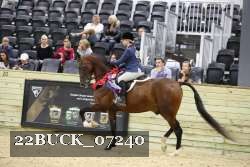 22BUCK_07240 proof