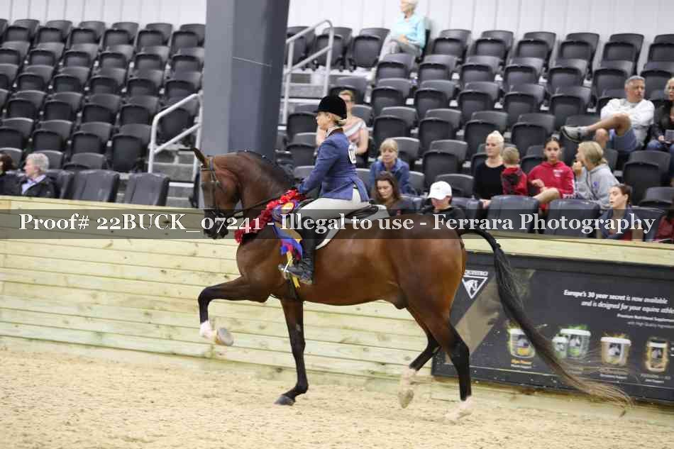 Proof 22BUCK_07241
