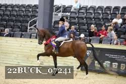 22BUCK_07241 proof