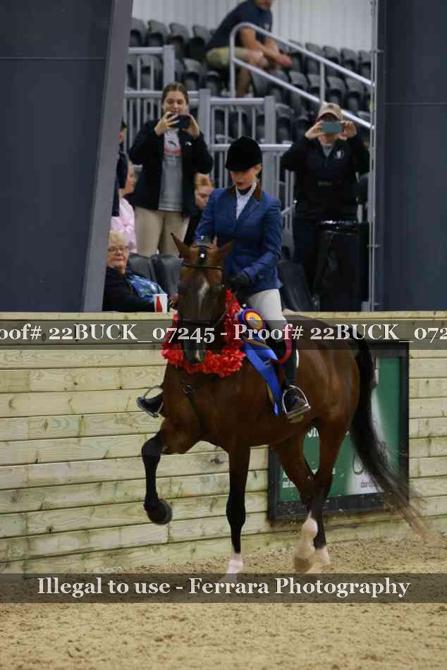 Proof 22BUCK_07245