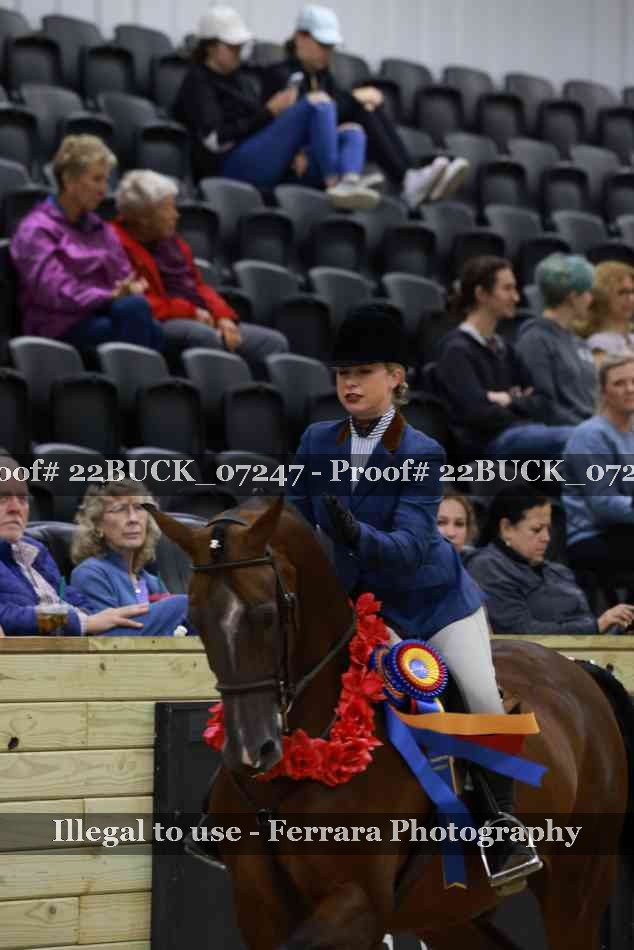 Proof 22BUCK_07247