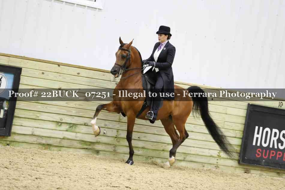 Proof 22BUCK_07251