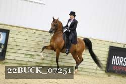 22BUCK_07251 proof