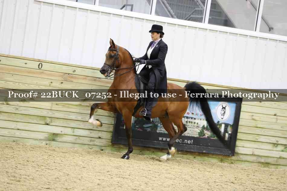 Proof 22BUCK_07252