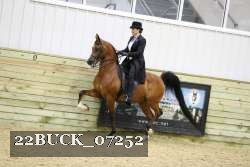 22BUCK_07252 proof