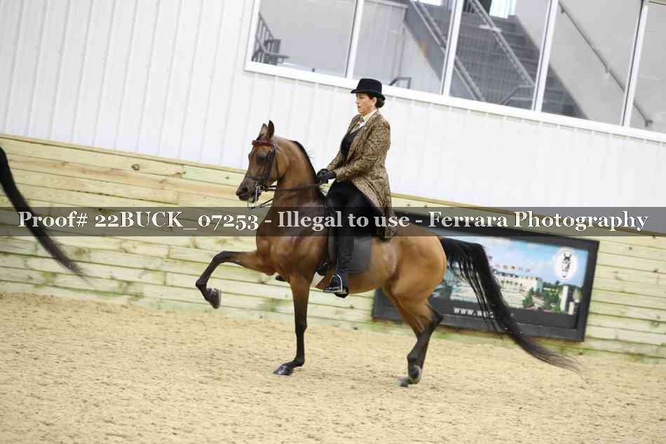 Proof 22BUCK_07253