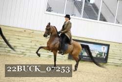 22BUCK_07253 proof
