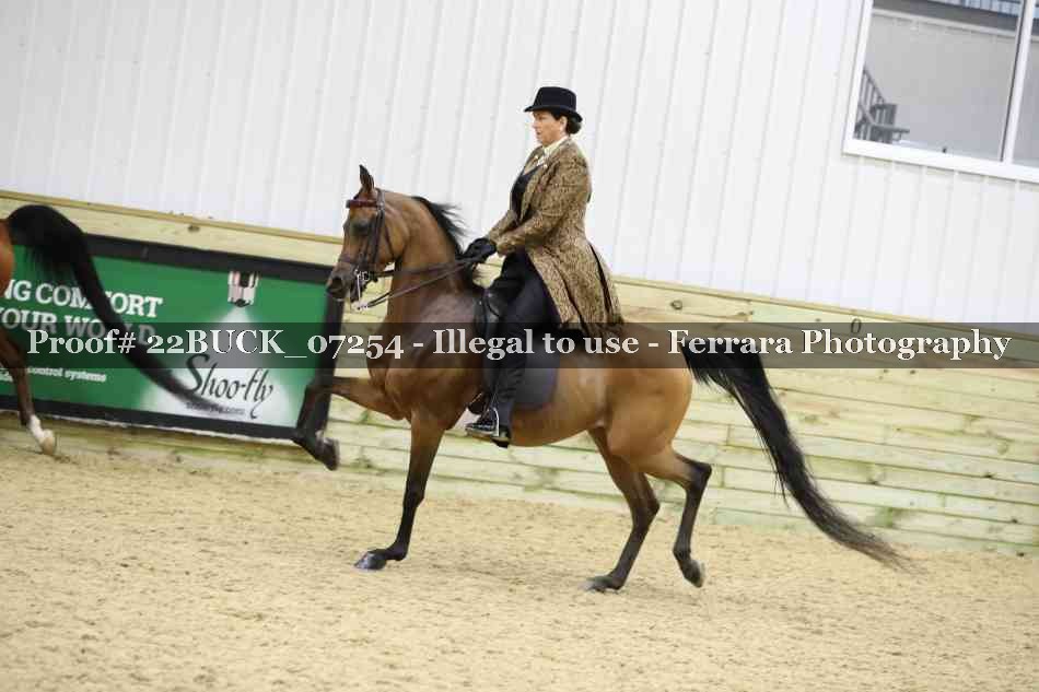 Proof 22BUCK_07254