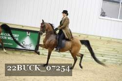 22BUCK_07254 proof