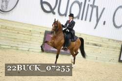 22BUCK_07255 proof