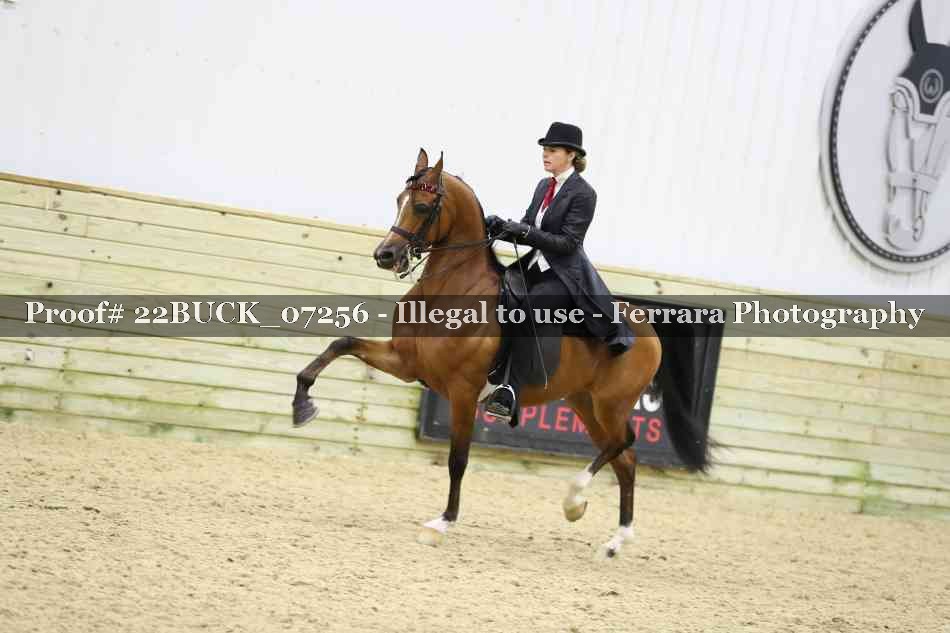 Proof 22BUCK_07256