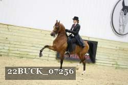 22BUCK_07256 proof