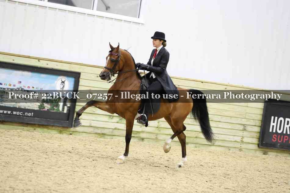 Proof 22BUCK_07257