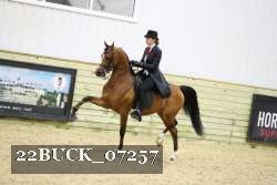 22BUCK_07257 proof