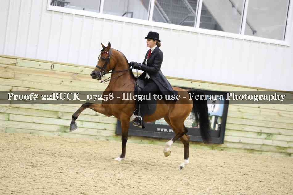 Proof 22BUCK_07258