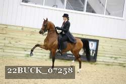 22BUCK_07258 proof