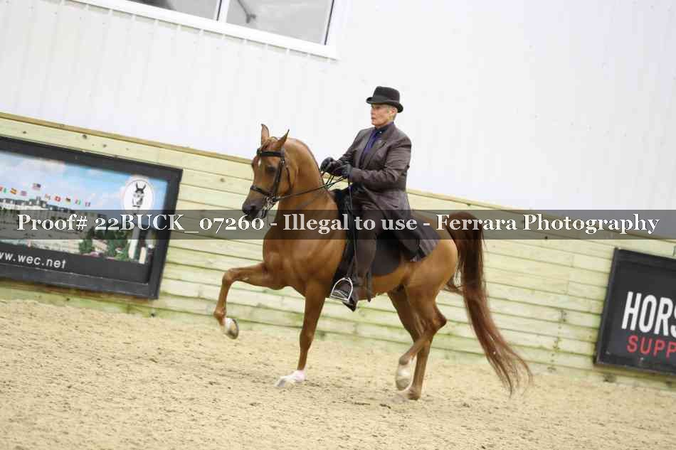 Proof 22BUCK_07260