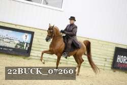 22BUCK_07260 proof