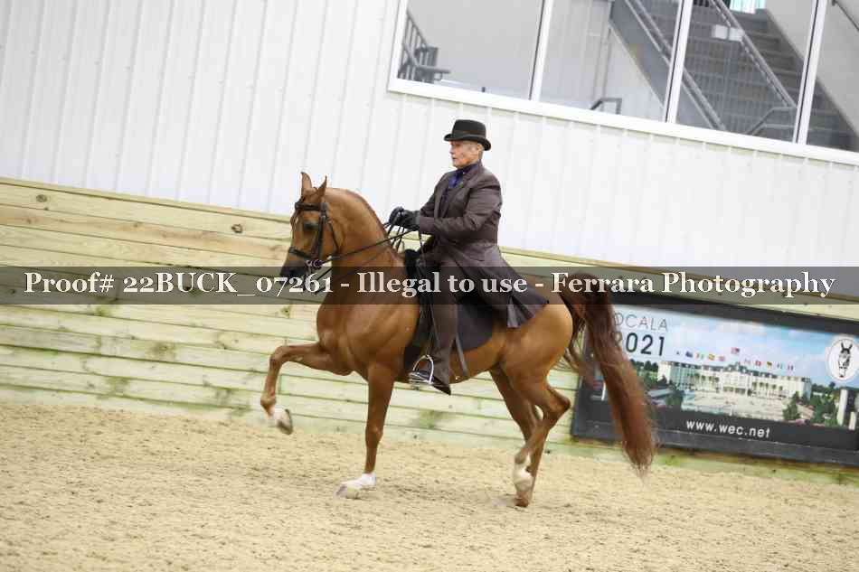 Proof 22BUCK_07261