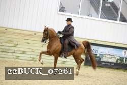 22BUCK_07261 proof