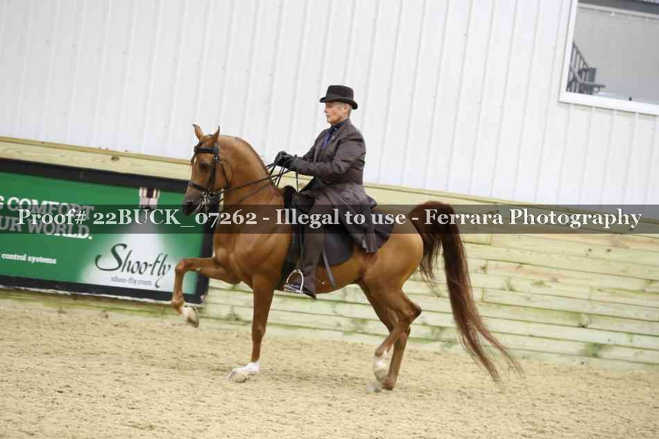 Proof 22BUCK_07262