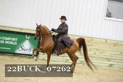 22BUCK_07262 proof