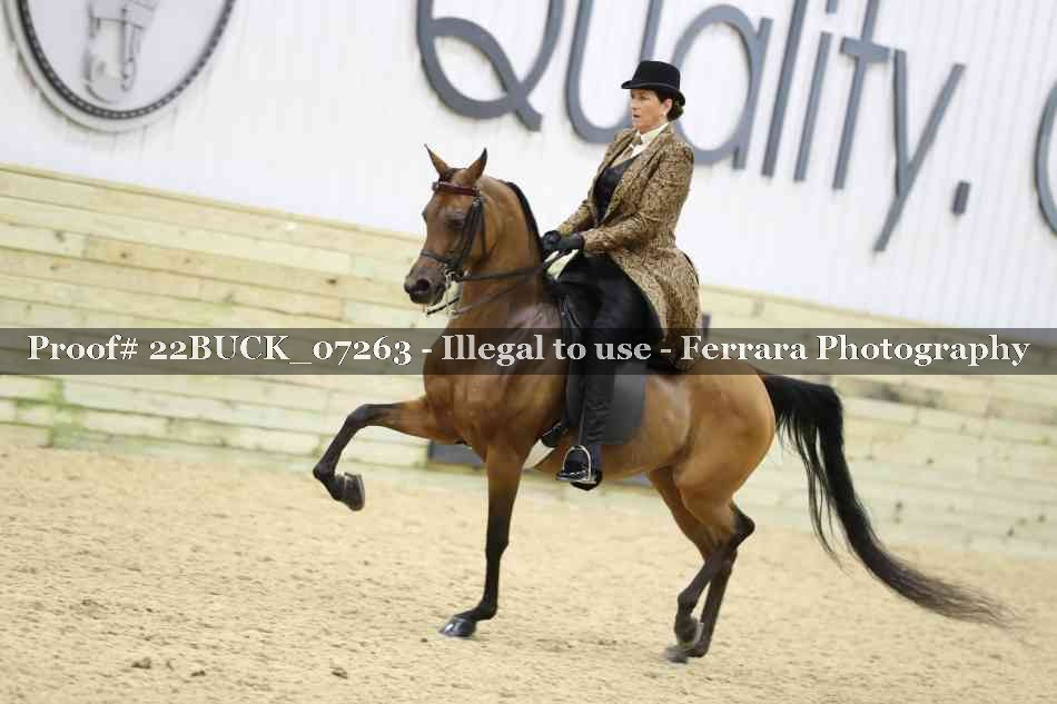 Proof 22BUCK_07263