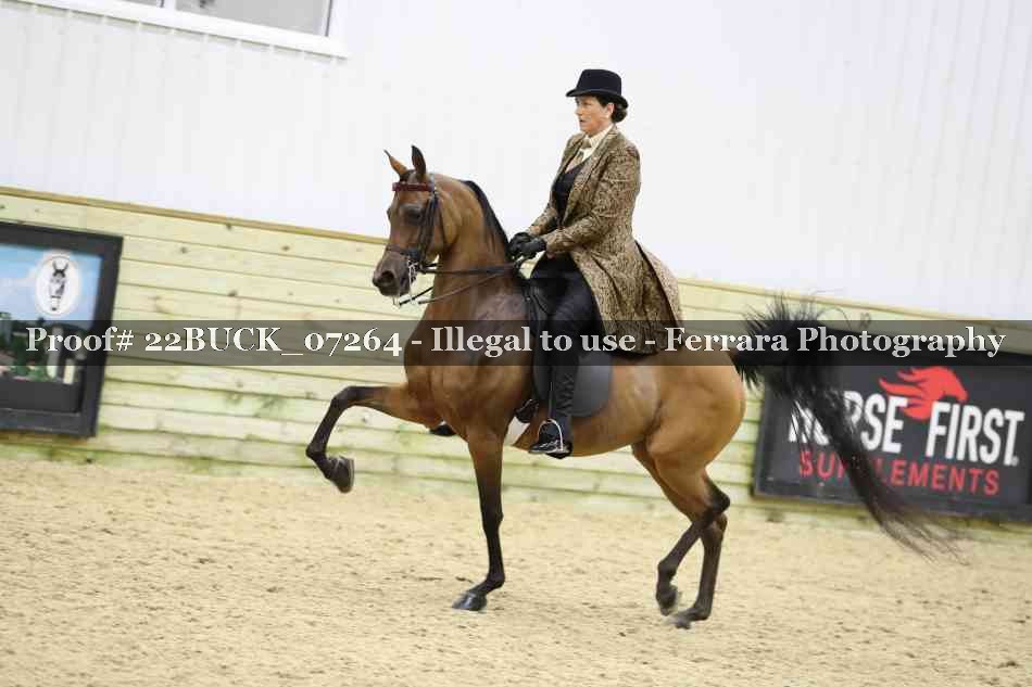 Proof 22BUCK_07264