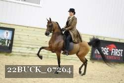 22BUCK_07264 proof