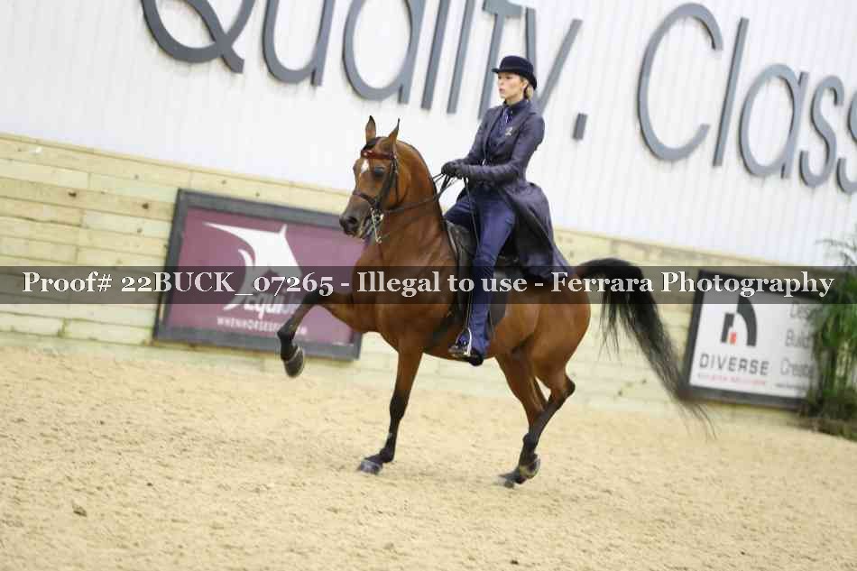 Proof 22BUCK_07265