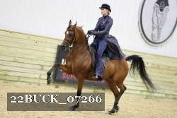 22BUCK_07266 proof