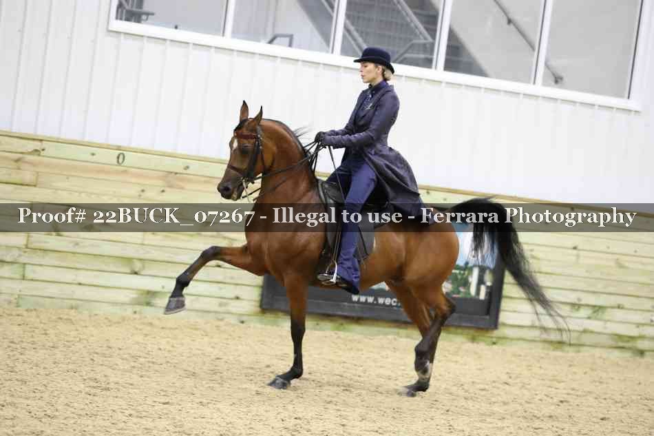 Proof 22BUCK_07267