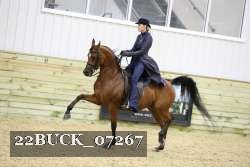 22BUCK_07267 proof