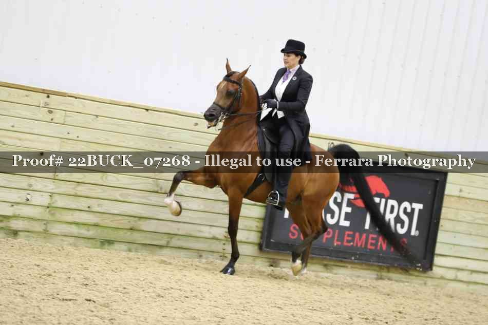 Proof 22BUCK_07268