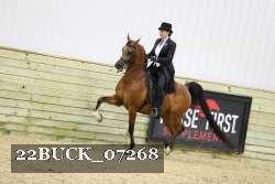 22BUCK_07268 proof
