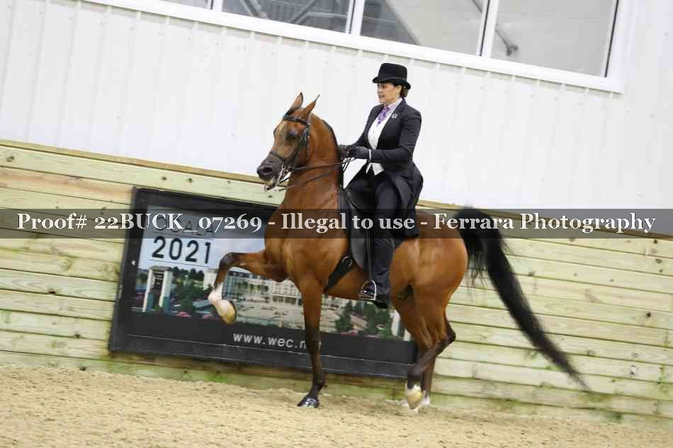 Proof 22BUCK_07269
